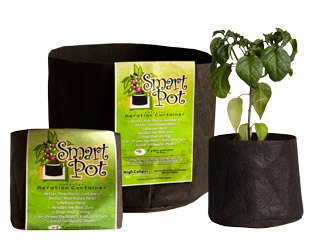 1 Gallon Smart Pot 7″x 6″